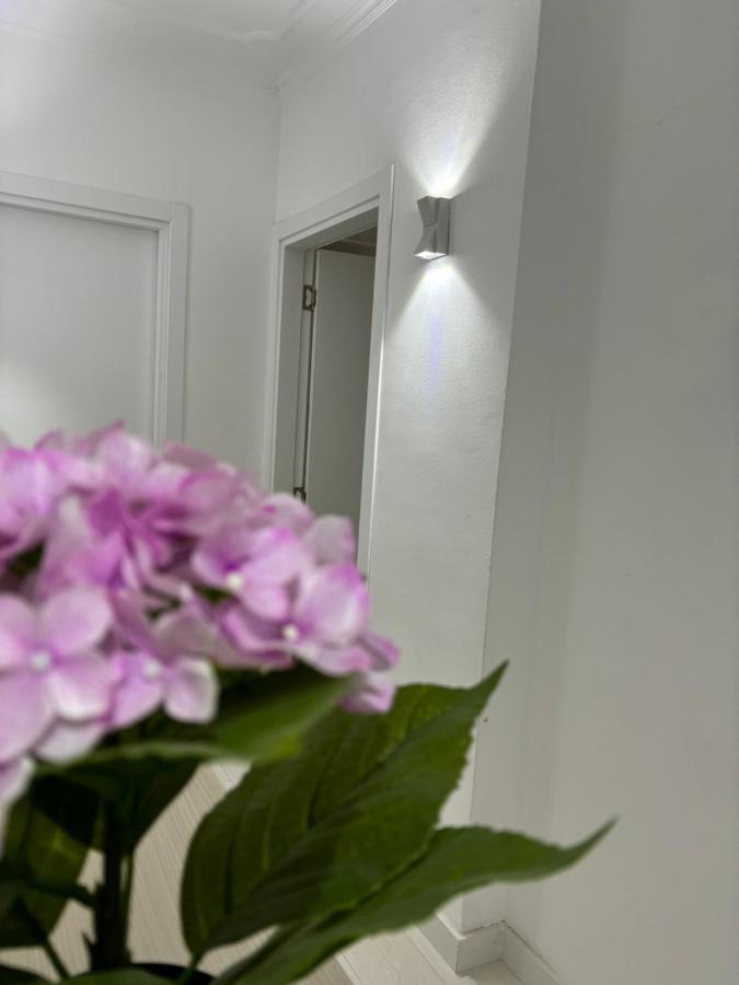 Center, Selvia White Apartment Tirana Bagian luar foto